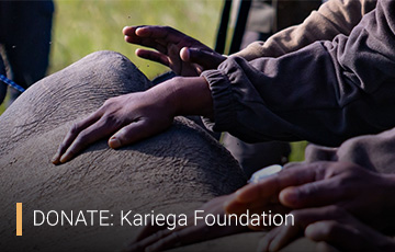 Pod   Kariega Foundation